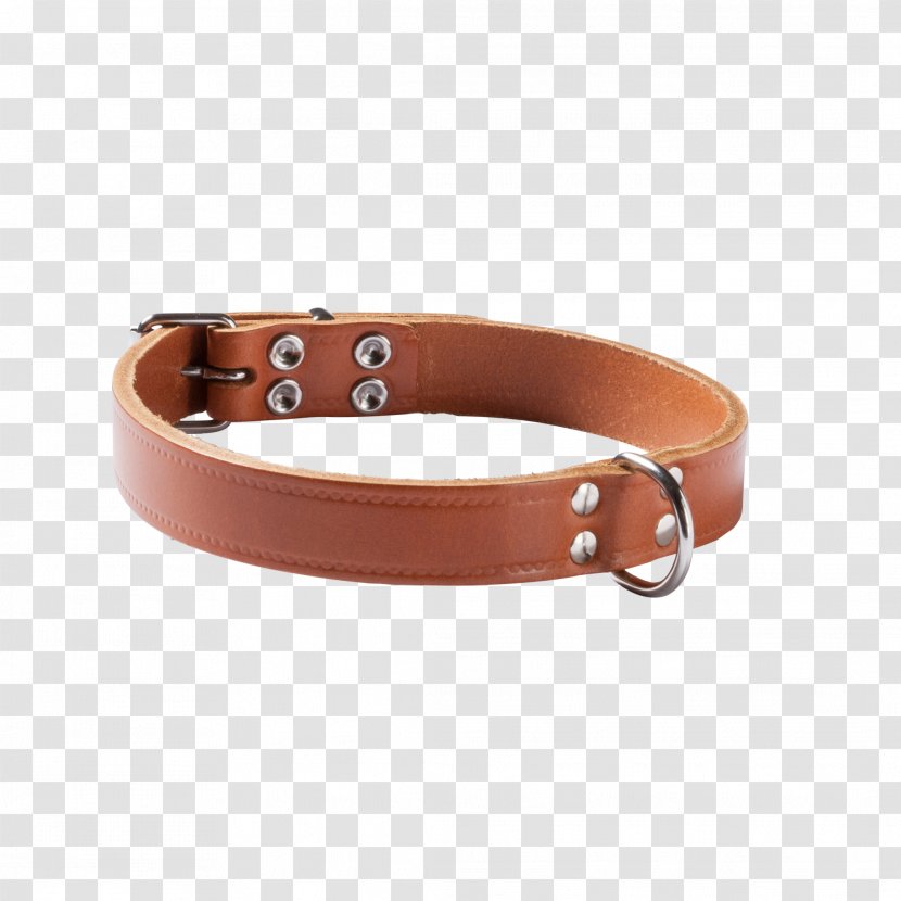 Dog Collar Strap Transparent PNG