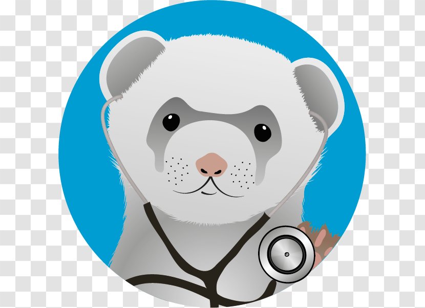 Ferret Health Clip Art Dog PlayerUnknown's Battlegrounds Transparent PNG