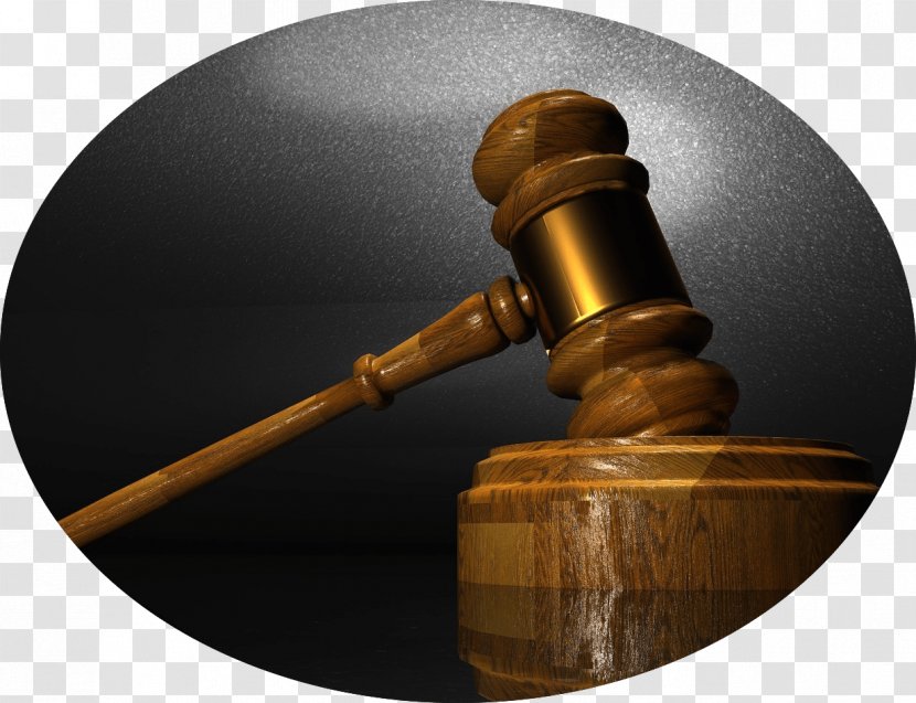 United States Lawyer Elder Law Labour - Criminal Justice System Transparent PNG