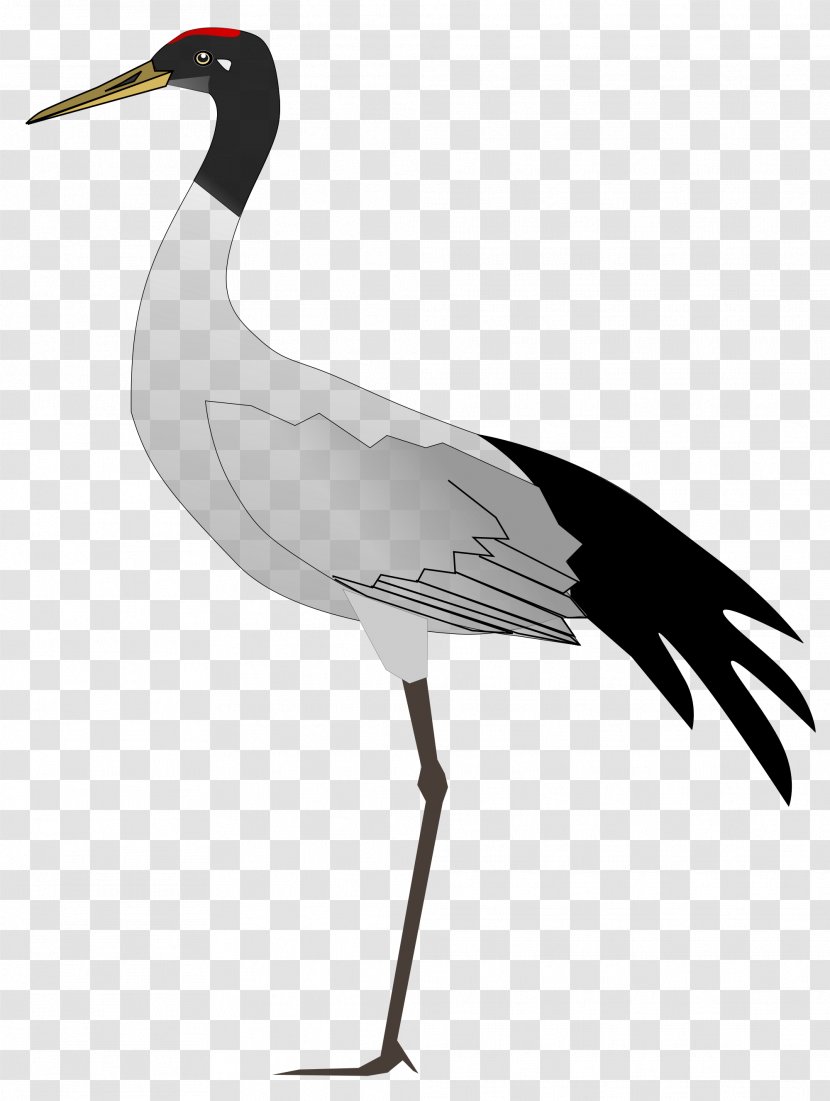 Ladakh States And Territories Of India Bird Crane Transparent PNG