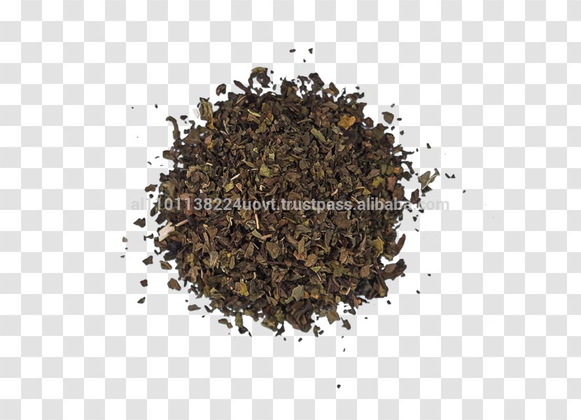 Nilgiri Tea Food Herb Ingredient - Bay Leaf Transparent PNG