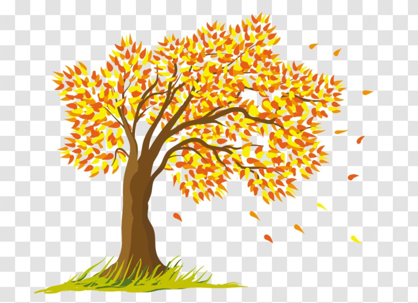 Tree Clip Art - Branch Transparent PNG