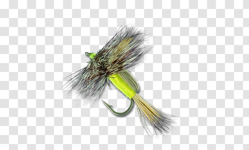 Artificial Fly - Dry Fishing Transparent PNG