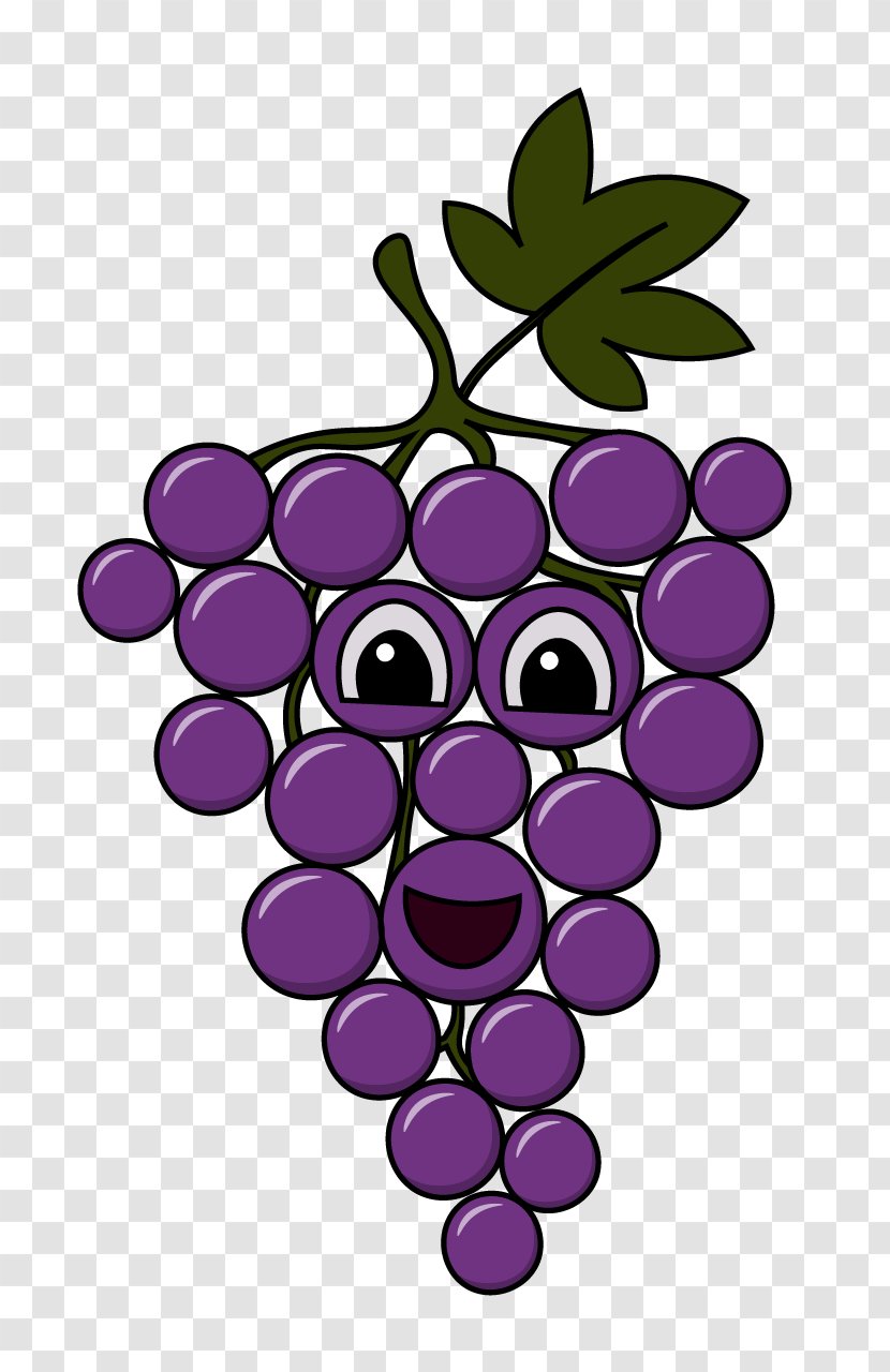 Common Grape Vine Clip Art Drawing Fruit - Grapevine Family Transparent PNG