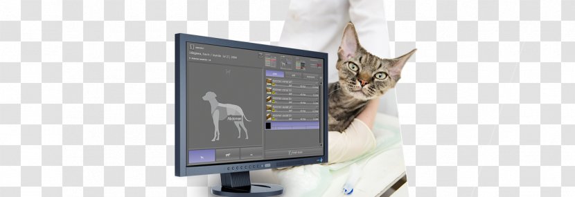 Digital Radiography Computed DICOM Veterinary Medicine - Dog Transparent PNG