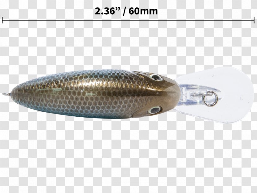 Spoon Lure Fish - Fishing Transparent PNG