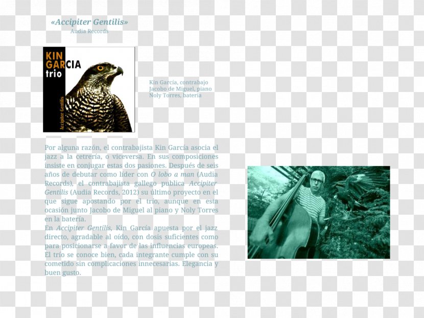 Animal Brochure - Brand - CONTRABAJO Transparent PNG