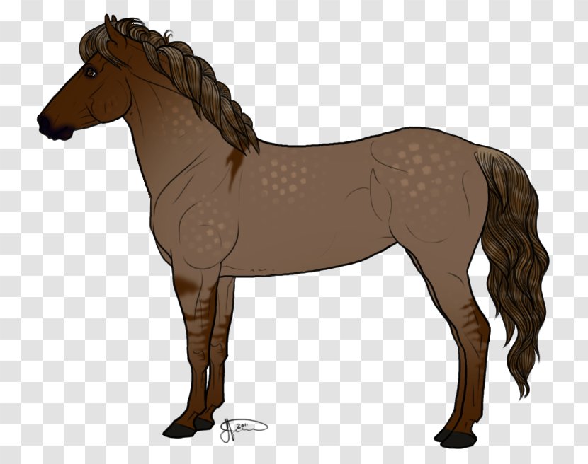 Mustang Mane Pony Colt Stallion - Horse - Icelandic Transparent PNG