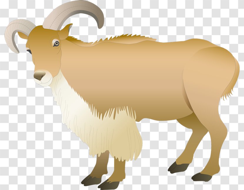 Barbary Sheep Ahuntz Goat Photography Transparent PNG