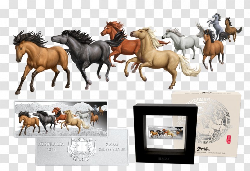 Mustang Stallion Equestrian Wild Horse Transparent PNG