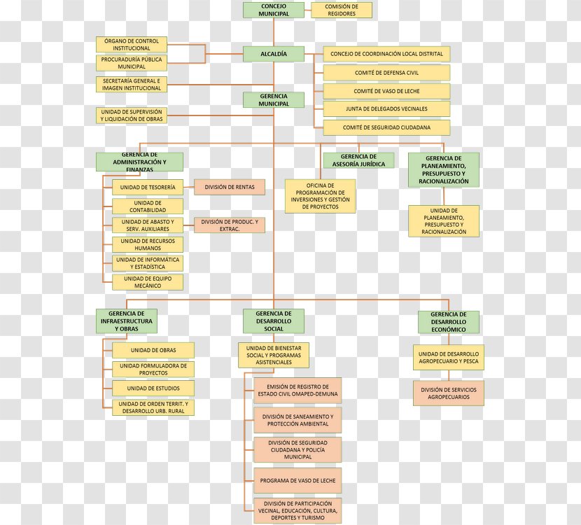 Organizational Chart Structure District - Telefonica Del Peru Transparent PNG