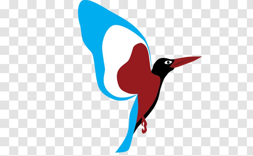 Penguin Hummingbird M Cartoon Beak Clip Art Transparent PNG