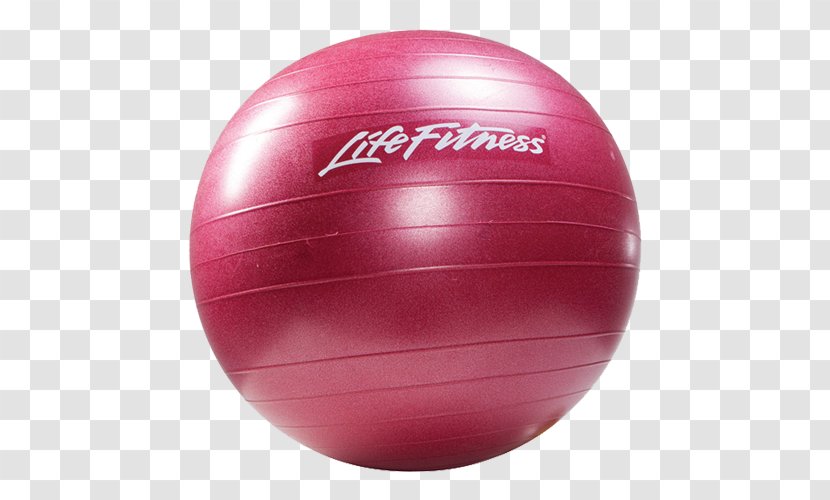 Exercise Ball Physical Fitness Equipment Life - Gym File Transparent PNG