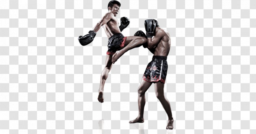Muay Thai Kickboxing Mixed Martial Arts - Jujutsu - Boxing Transparent PNG