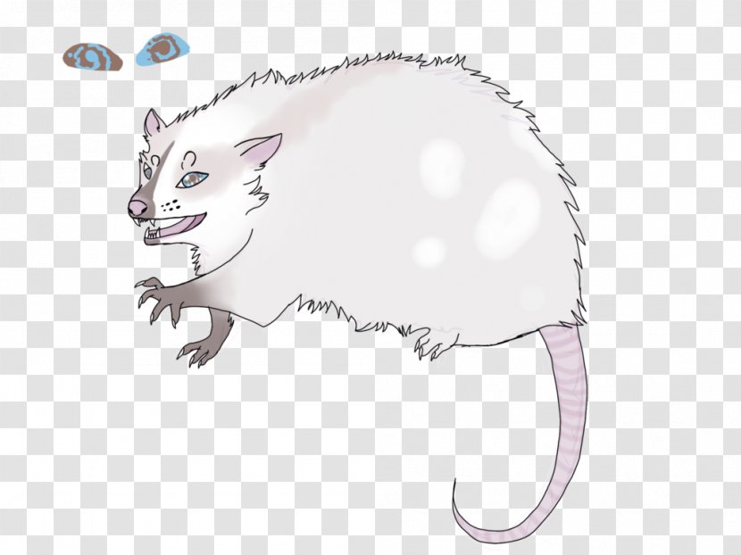 Whiskers Mouse Cat Line Art - Rodent Transparent PNG