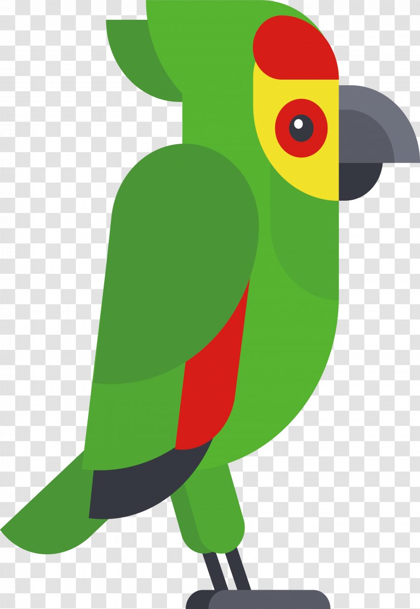 Bird Cartoon Drawing - Gratis - Design Transparent PNG