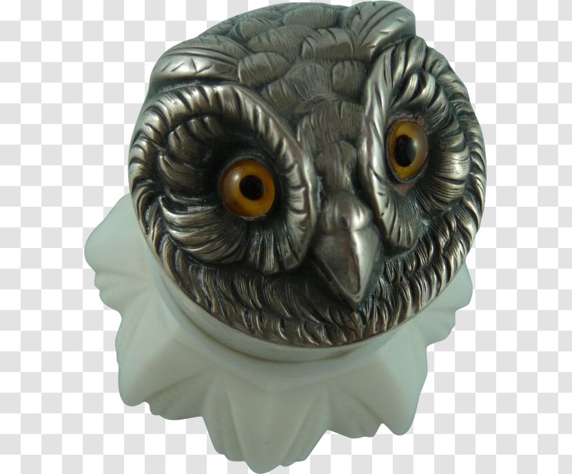 Owl - Bird Of Prey Transparent PNG