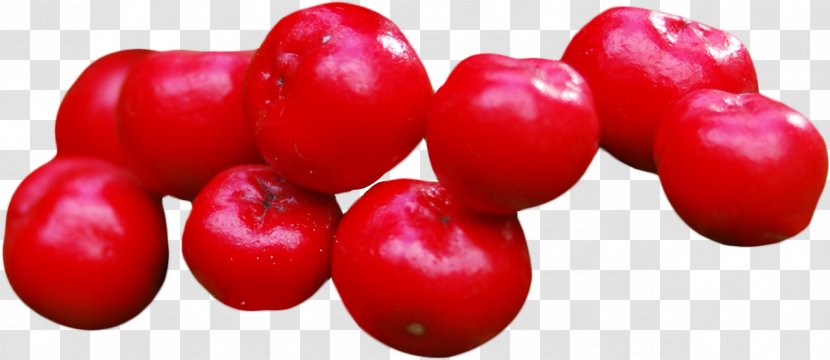 Tomato Cartoon - Cherry - Currant Superfruit Transparent PNG