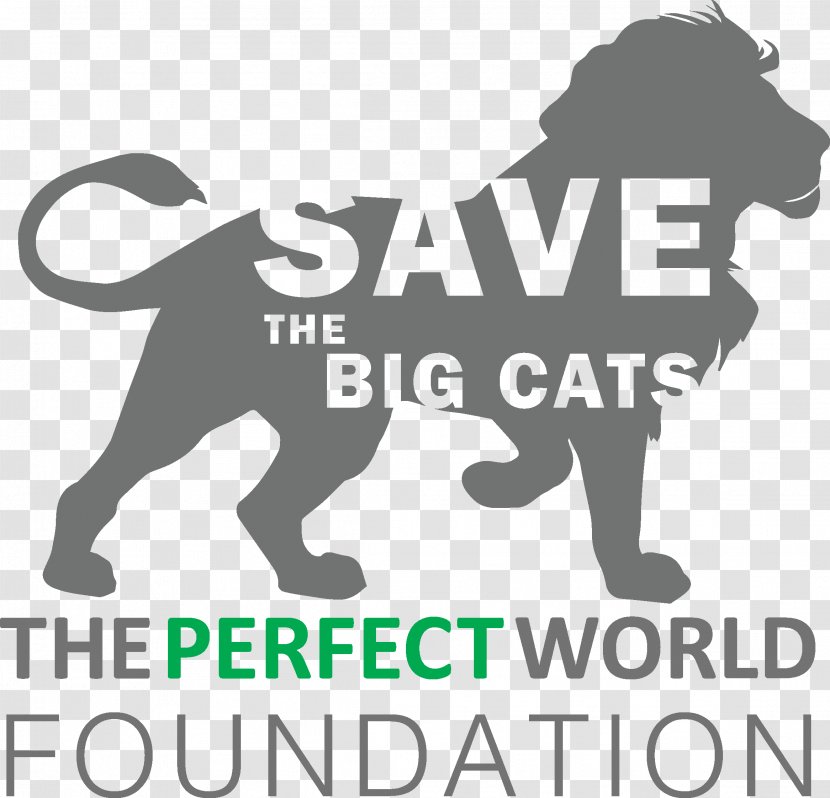 Dog Breed Lion Logo Cat - Save World Transparent PNG