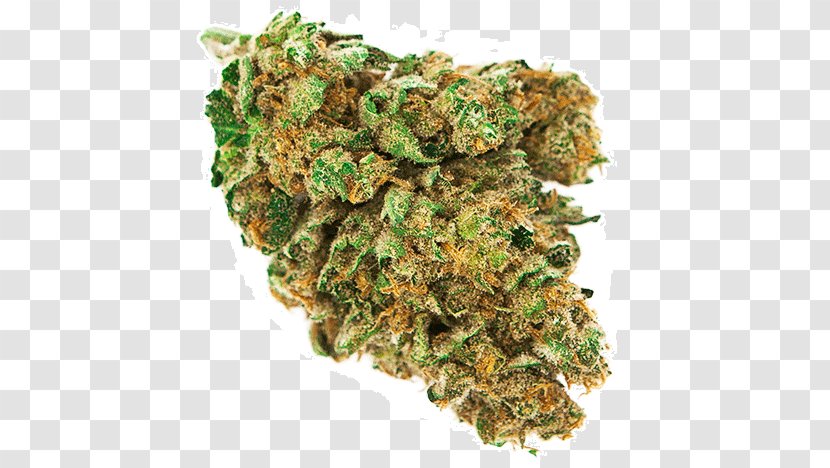 Cannabis Bud Durban Poison Skunk Blue Dream - Cannabaceae Transparent PNG