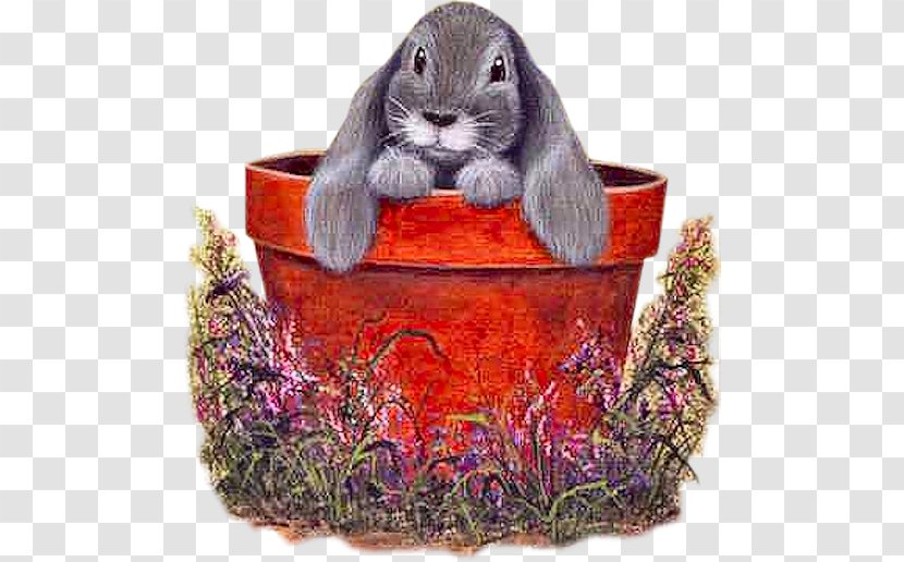 Easter Bunny Domestic Rabbit Hare - Lenten Calendar Transparent PNG