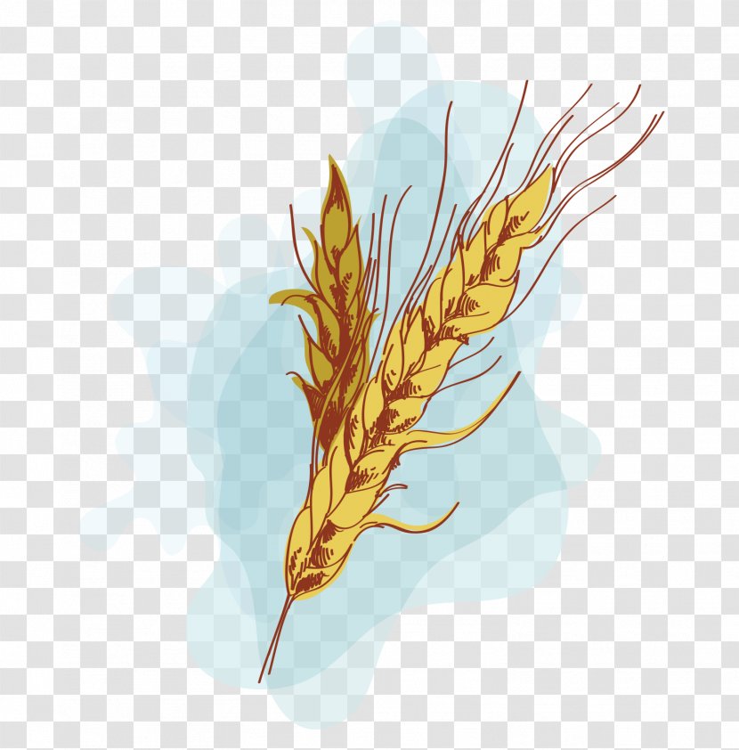 Emmer Euclidean Vector Computer File - Plant - Golden Wheat Transparent PNG