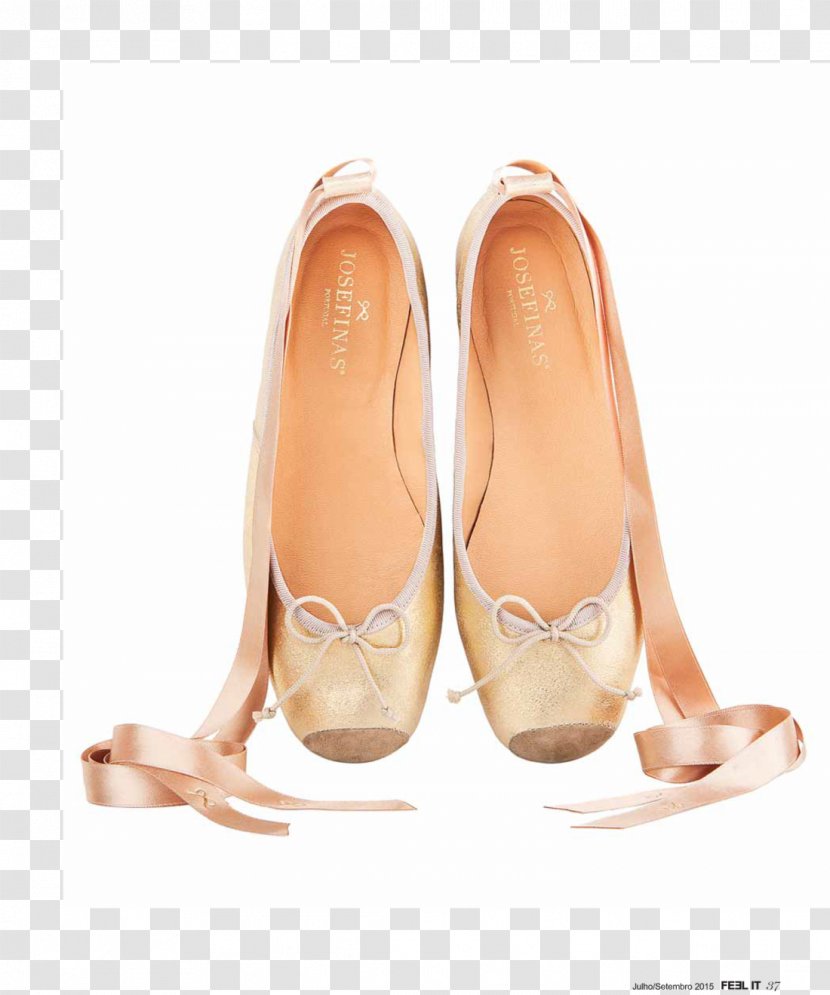 Ballet Flat Slipper Shoe Dancer - Watercolor Transparent PNG