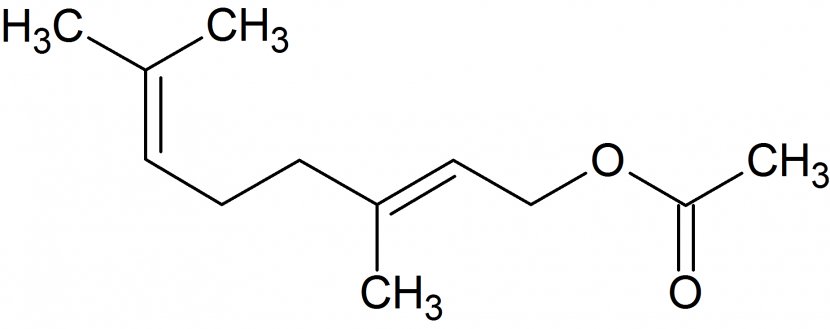 Neryl Acetate Car Product Design - Wikimedia Foundation - Auto Part Transparent PNG