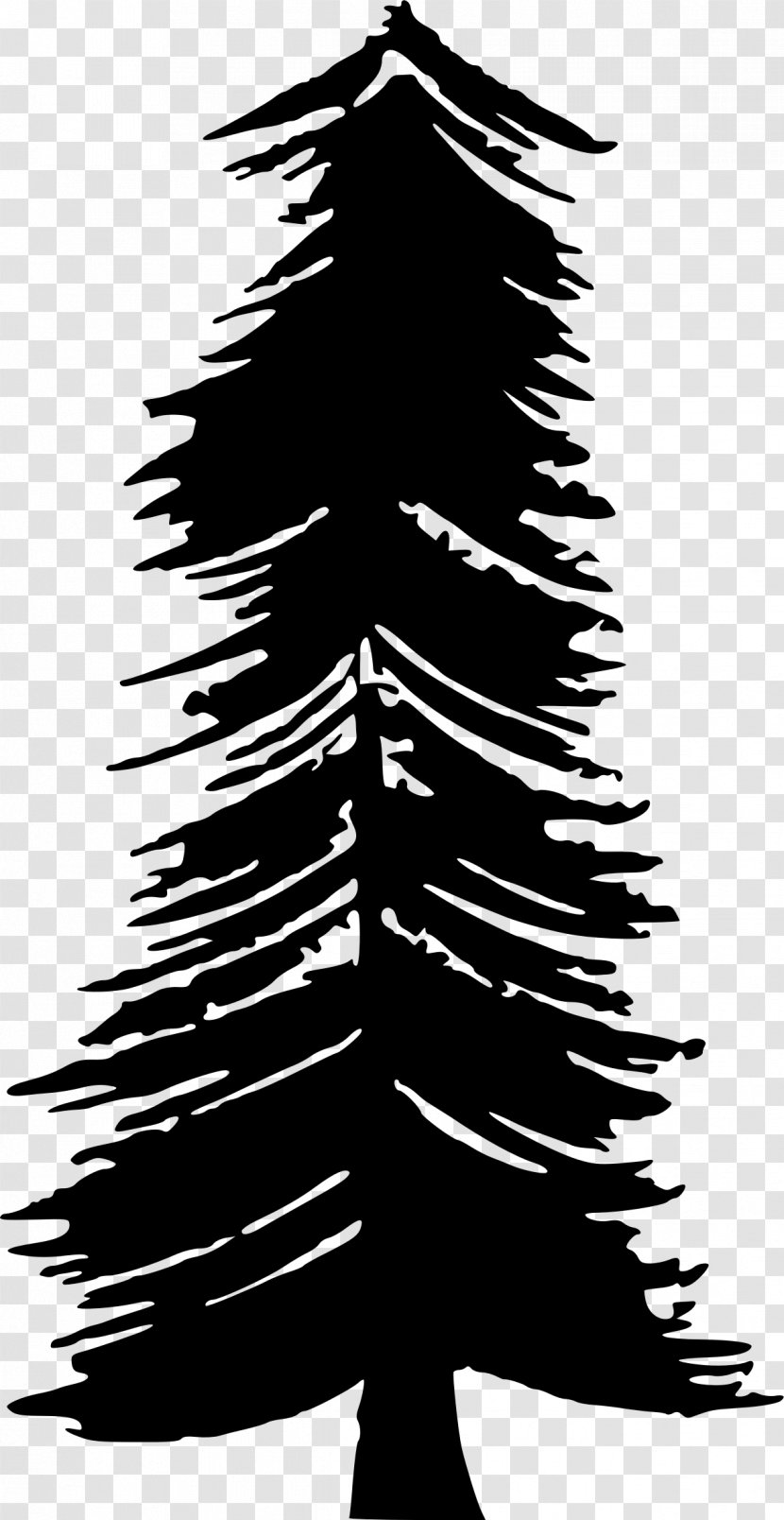 Desktop Wallpaper T-shirt Christmas Clip Art - Pine - Tree Transparent PNG