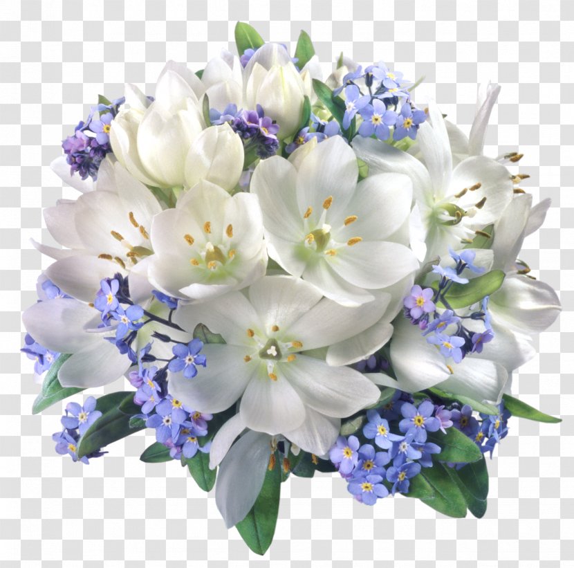 Flower White Clip Art - Floral Composition Transparent Picture Transparent PNG