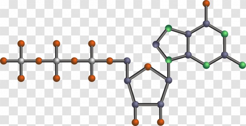 Nucleic Acid Structure DNA Double Helix - Consulier Gtp Transparent PNG