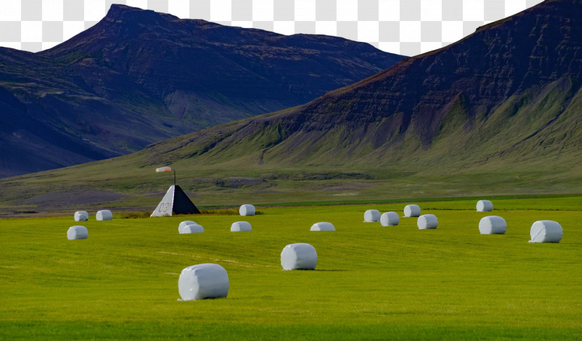 Biome Steppe Grassland Energy Science Transparent PNG