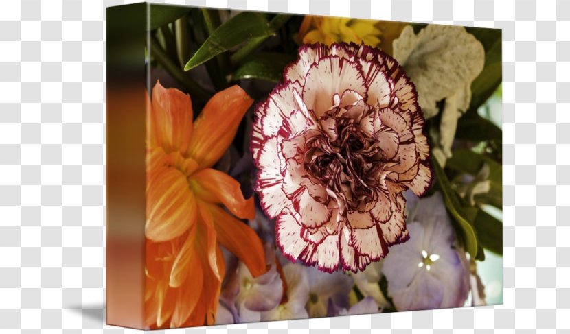 Petal Flora Floristry - Flower - Red Carnations Transparent PNG