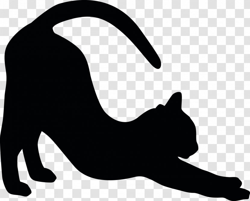 Cat Whiskers Bumper Sticker Adhesive - Stationery Transparent PNG