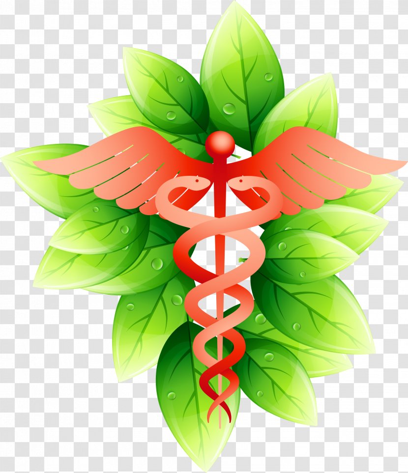 Symbol Medicine Physician - Caduceus As A Of - Green Leaves With Water Droplets Transparent PNG