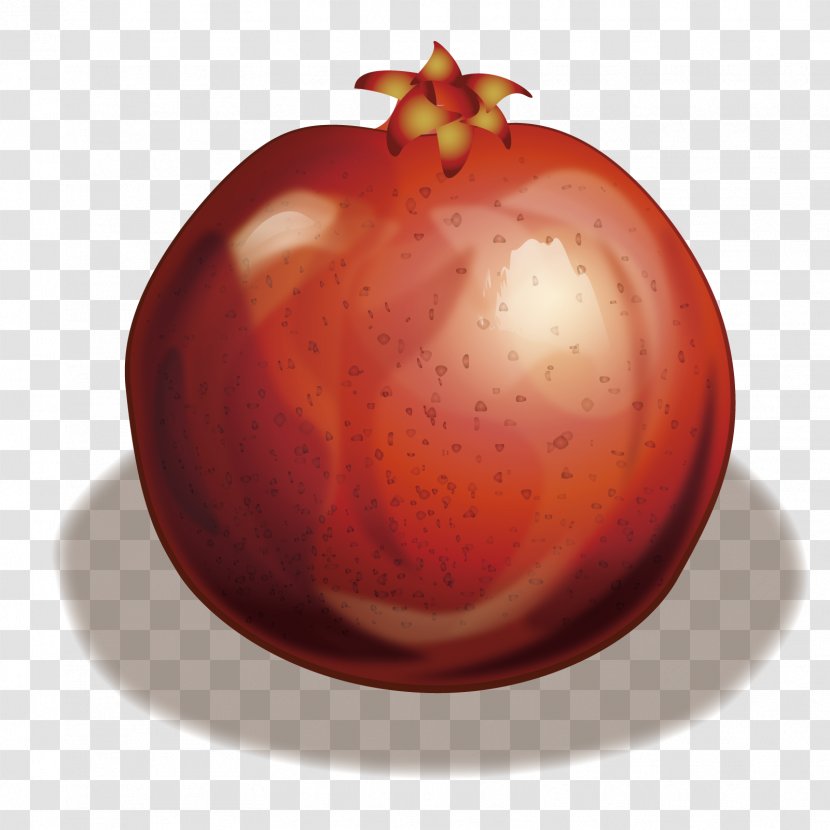 Tomato Pomegranate Fruit - Vector Red Transparent PNG