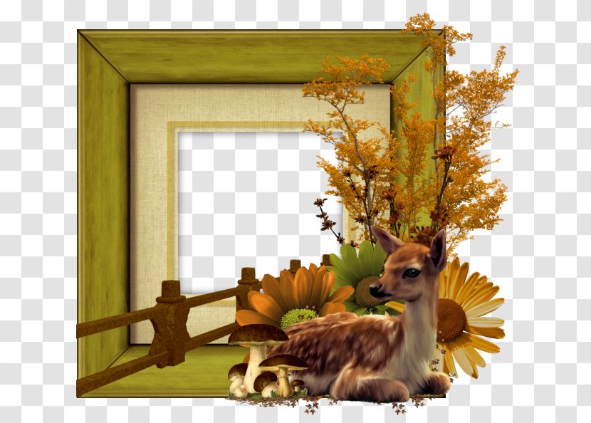 Picture Frames Clip Art - Tree - Organism Transparent PNG