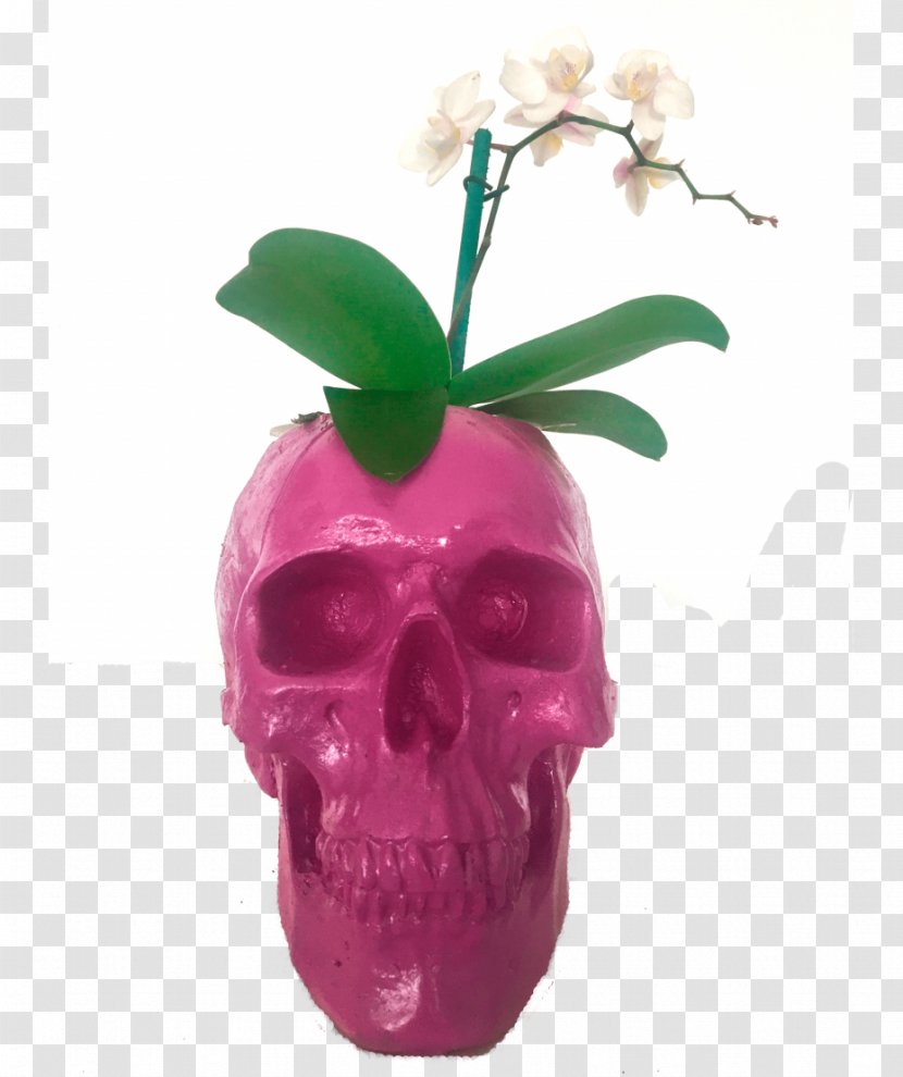 MINI Cooper Moth Orchids Skull - Order Catalog Transparent PNG