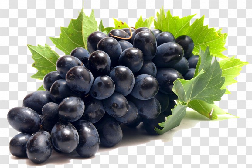 Common Grape Vine Clip Art - Natural Foods - Transparent Images Transparent PNG