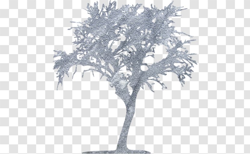 Twig Black And White Tree - Houseplant Transparent PNG