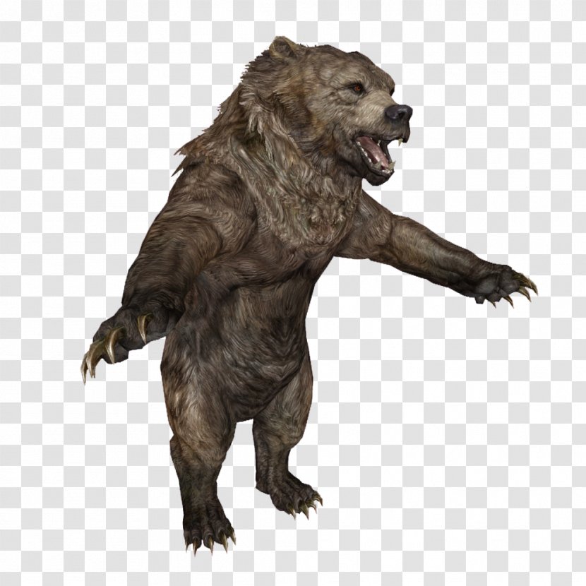 Enderal: The Shards Of Order Grizzly Bear SureAI Animal - Aurora Boreal Transparent PNG