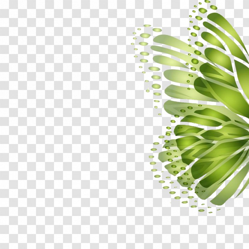 Butterfly Green High-definition Television Wallpaper - Highdefinition - Background Wings Transparent PNG