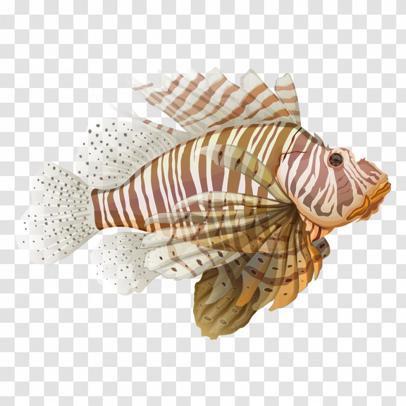 Red Lionfish Spotfin Illustration - Princess Fish Transparent PNG