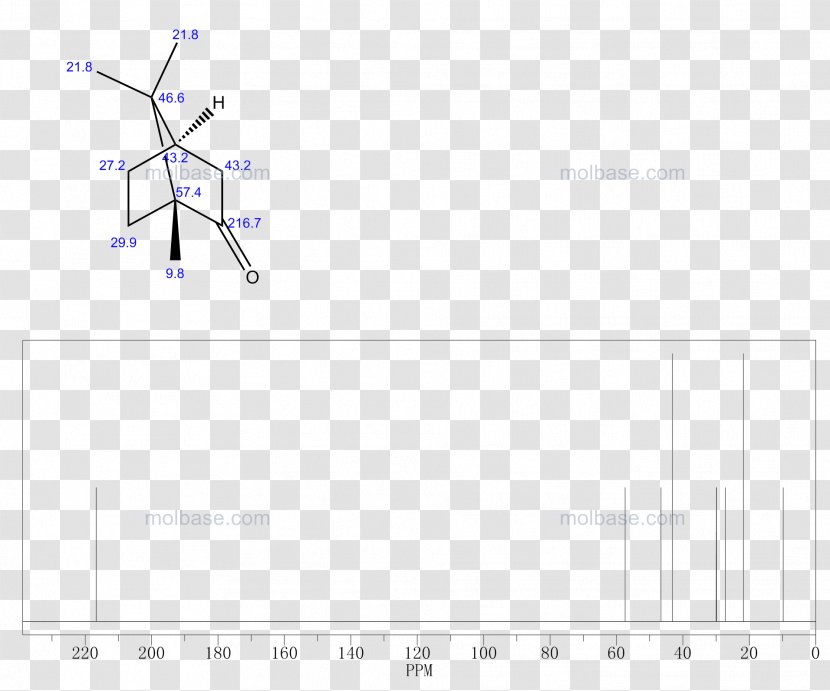 Document Angle Line Product Design - Text - Camphor Pictogram Transparent PNG