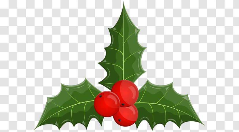 Clip Art Image Common Holly Aquifoliales - Mistletoe - Merry Transparent PNG