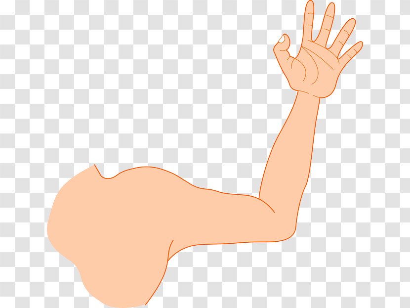 Arm Clip Art - Heart - Rangoli Transparent PNG