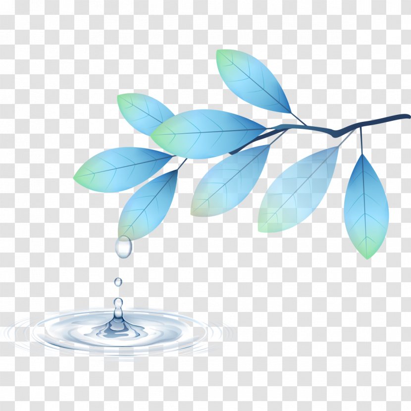 Leaf Drop - Abstraction - Drops Leaves Transparent PNG