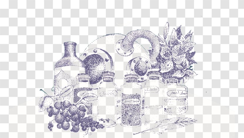 Glass Bottle Still Life Sketch - Drawing - James Clerk Maxwell Transparent PNG