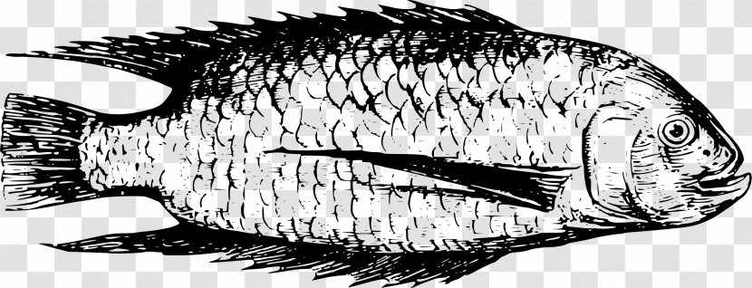 Line Art Drawing - Monochrome - Dead Fish Transparent PNG