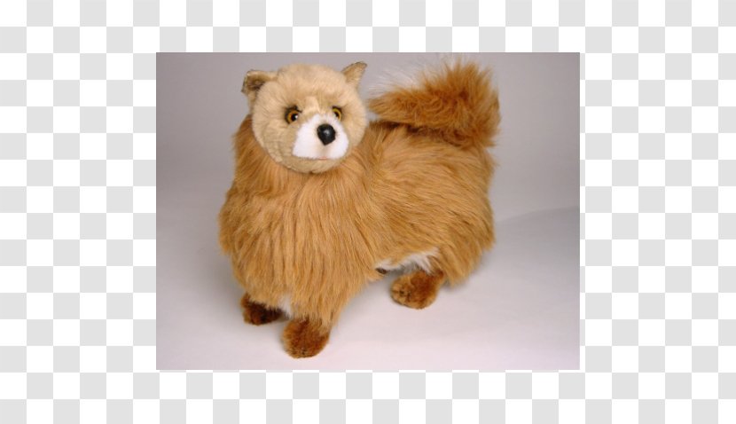Pomeranian Stuffed Animals & Cuddly Toys Dog Breed Centimeter Transparent PNG